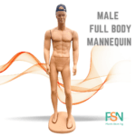 Male full body mannequin (per piece)