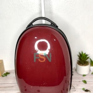 Shell Kids School Bag